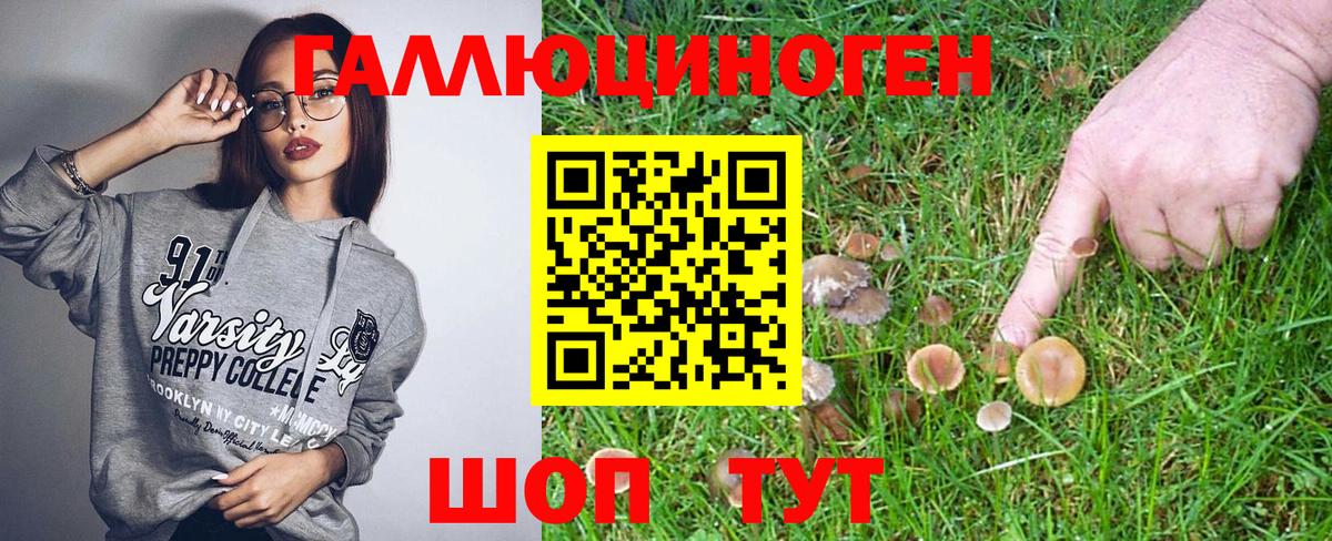 Галлюциногенные грибы мицелий Чернушка