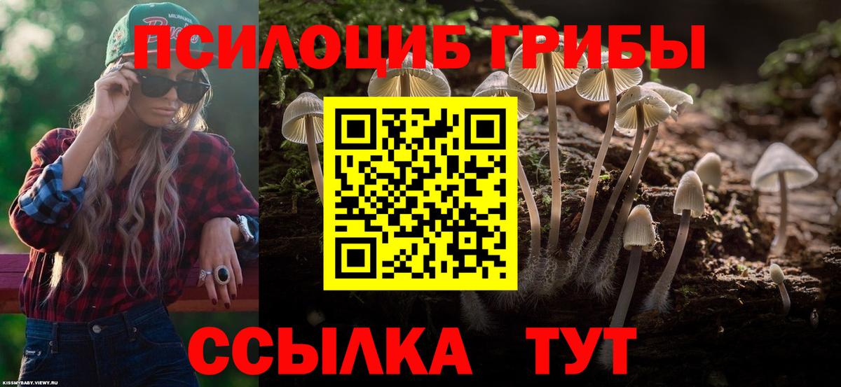 Галлюциногенные грибы MAGIC MUSHROOMS  купить наркоту  Чернушка  Вход с VPN  Галлюциногенные грибы Psilocybe 